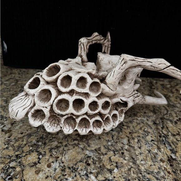 Predator skull Yautja Trophy from Alien vs. Predator and Predator movies Resin - Picture 10 of 10